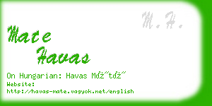 mate havas business card